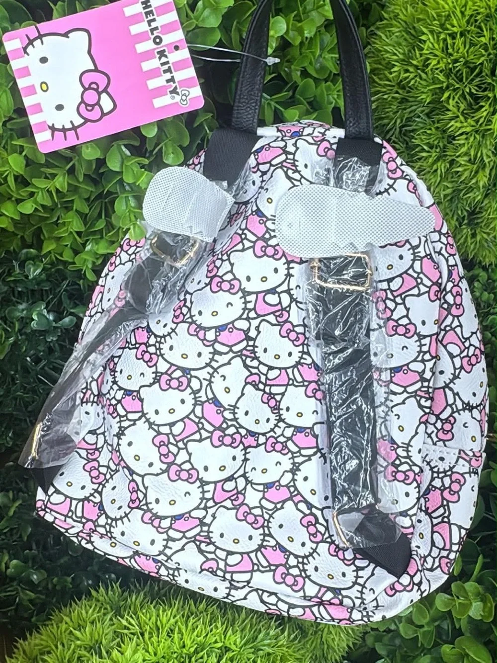 Hello Kitty playful hello